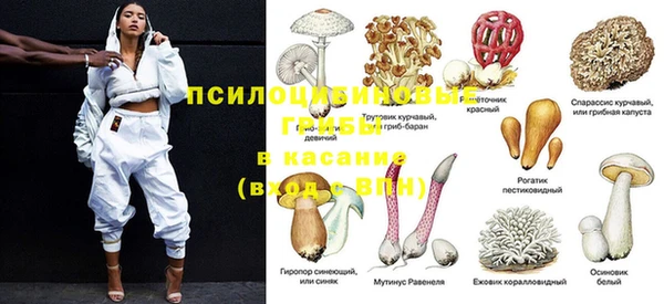 дмт Горнозаводск